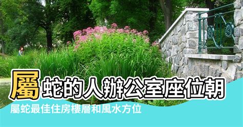 屬蛇座向|屬蛇辦公室座位朝向風水的布局 坐西朝東福祿東來